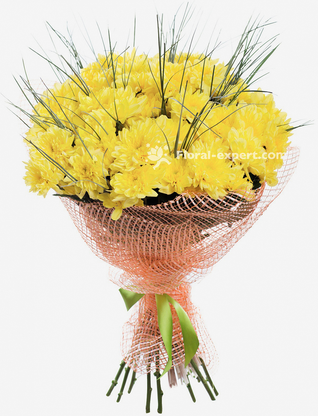 Yellow Chrysanthemum